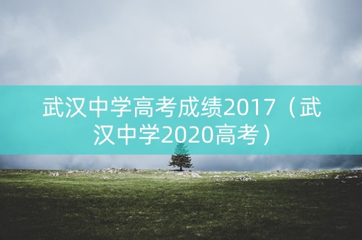 武汉中学高考成绩2017(武汉中学2020高考) 武汉中学高考成绩2017(武汉中学2020高考)