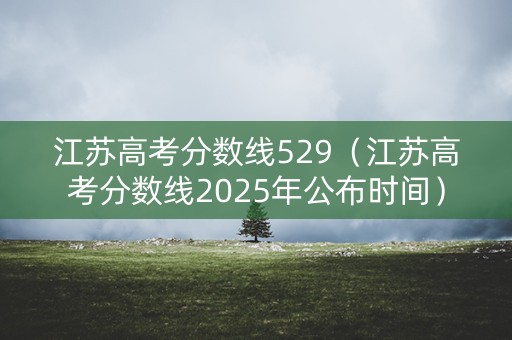 江苏高考分数线529(江苏高考分数线2025年公布时间) 江苏高考分数线529(江苏高考分数线2025年公布时间)