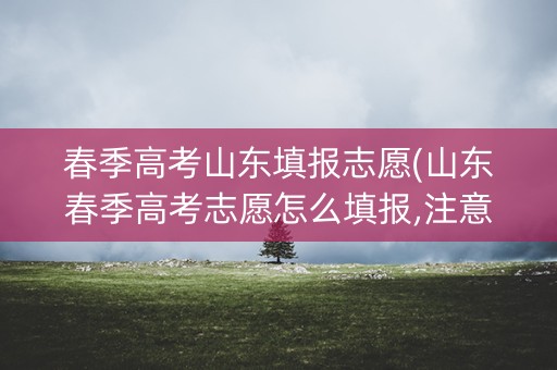 春季高考山东填报志愿(山东春季高考志愿怎么填报,注意事项) 春季高考山东填报志愿(山东春季高考志愿怎么填报,注意事项)