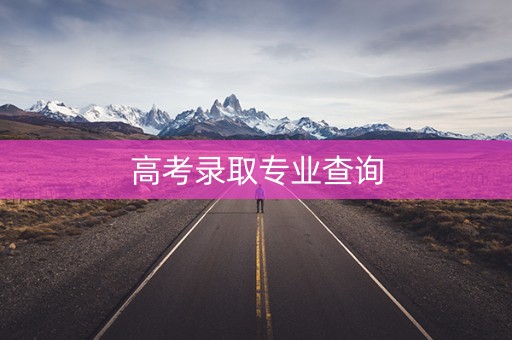 高考录取专业查询