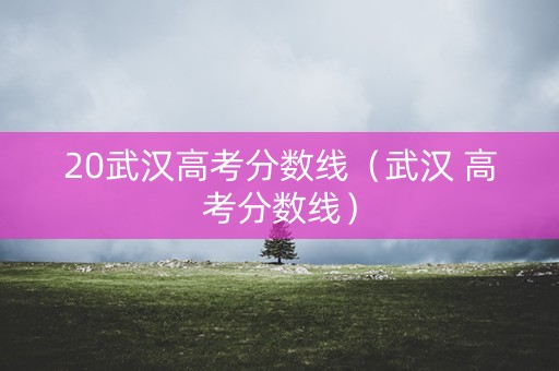 20武汉高考分数线(武汉 高考分数线) 20武汉高考分数线(武汉 高考分数线)
