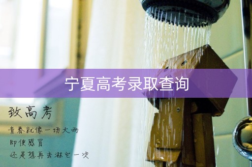 宁夏高考录取查询