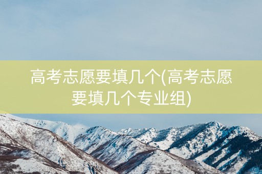 高考志愿要填几个(高考志愿要填几个专业组)