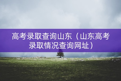 高考录取查询山东(山东高考录取情况查询网址) 高考录取查询山东(山东高考录取情况查询网址)