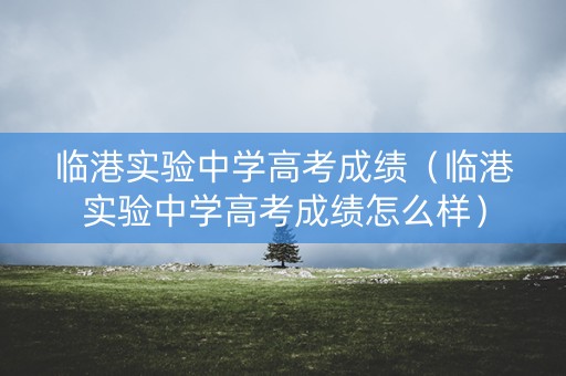 临港实验中学高考成绩(临港实验中学高考成绩怎么样) 临港实验中学高考成绩(临港实验中学高考成绩怎么样)