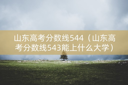 山东高考分数线544(山东高考分数线543能上什么大学) 山东高考分数线544(山东高考分数线543能上什么大学)