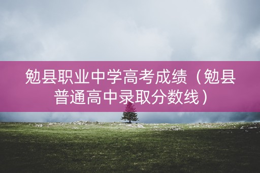 勉县职业中学高考成绩（勉县普通高中录取分数线）