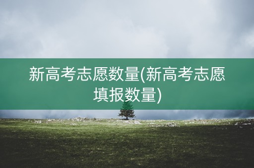 新高考志愿数量(新高考志愿填报数量) 新高考志愿数量(新高考志愿填报数量)