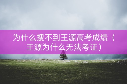 为什么搜不到王源高考成绩(王源为什么无法考证) 为什么搜不到王源高考成绩(王源为什么无法考证)