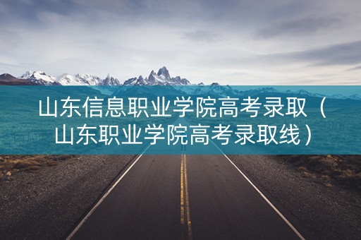 山东信息职业学院高考录取（山东职业学院高考录取线）