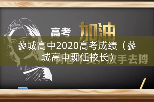 蓼城高中2020高考成绩(蓼城高中现任校长) 蓼城高中2020高考成绩(蓼城高中现任校长)