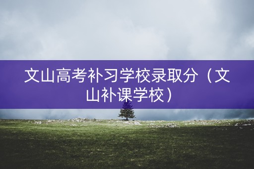 文山高考补习学校录取分(文山补课学校) 文山高考补习学校录取分(文山补课学校)