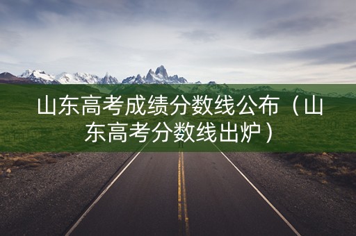 山东高考成绩分数线公布（山东高考分数线出炉）