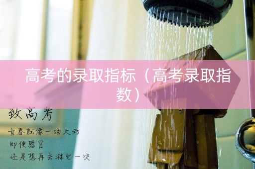 高考的录取指标(高考录取指数) 高考的录取指标(高考录取指数)