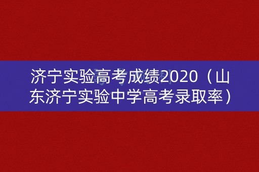 济宁实验高考成绩2020（山东济宁实验中学高考录取率）