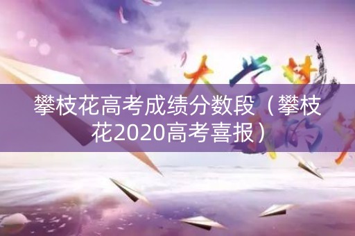 攀枝花高考成绩分数段（攀枝花2020高考喜报）