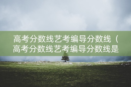 高考分数线艺考编导分数线（高考分数线艺考编导分数线是多少）