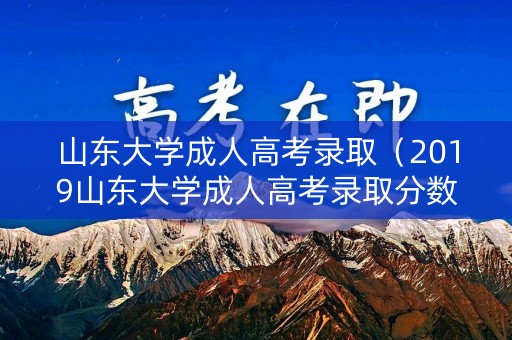 山东大学成人高考录取（2019山东大学成人高考录取分数线）