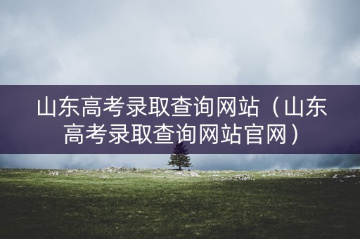 山东高考录取查询网站(山东高考录取查询网站官网) 山东高考录取查询网站(山东高考录取查询网站官网)