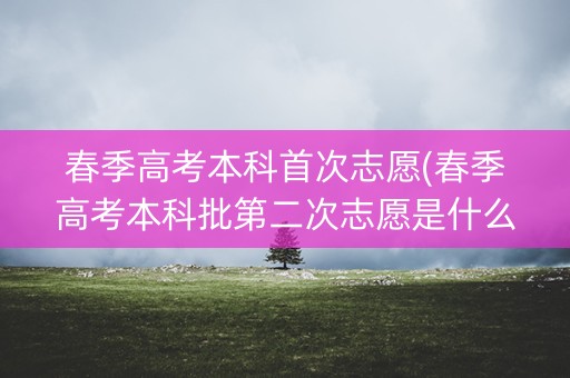 春季高考本科首次志愿(春季高考本科批第二次志愿是什么意思)