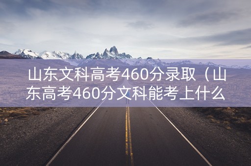 山东文科高考460分录取（山东高考460分文科能考上什么大学）
