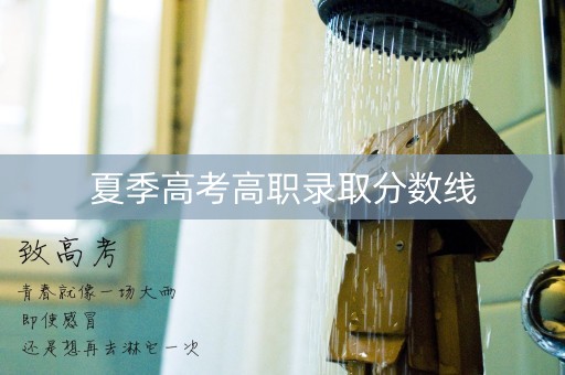 夏季高考高职录取分数线