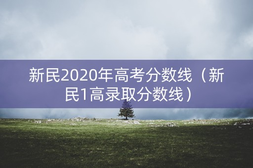 新民2020年高考分数线（新民1高录取分数线）