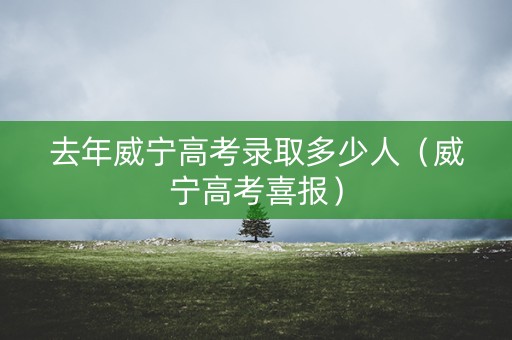 去年威宁高考录取多少人（威宁高考喜报）