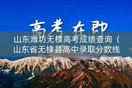 山东潍坊无棣高考成绩查询（山东省无棣县高中录取分数线）