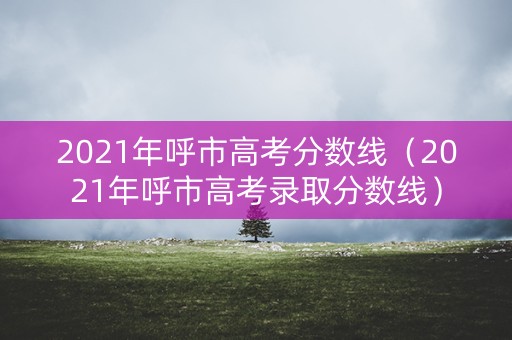 2021年呼市高考分数线（2021年呼市高考录取分数线）