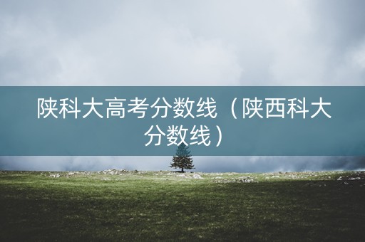 陕科大高考分数线(陕西科大分数线) 陕科大高考分数线(陕西科大分数线)