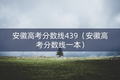 安徽高考分数线439（安徽高考分数线一本）