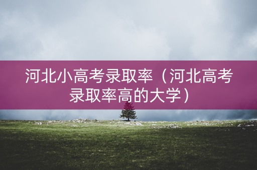 河北小高考录取率（河北高考录取率高的大学）