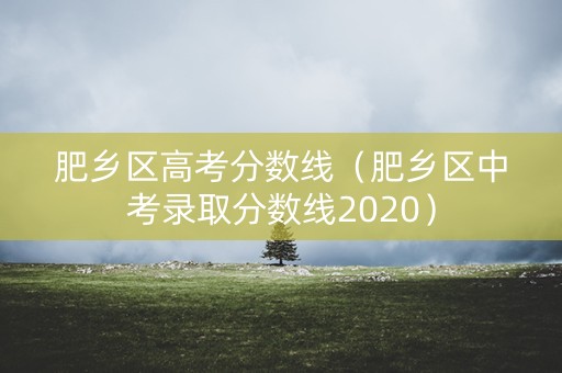 肥乡区高考分数线（肥乡区中考录取分数线2020）