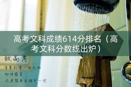 高考文科成绩614分排名(高考文科分数线出炉) 高考文科成绩614分排名(高考文科分数线出炉)