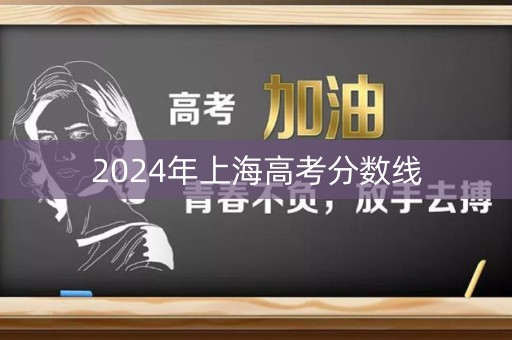2024年上海高考分数线