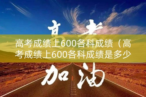 高考成绩上600各科成绩（高考成绩上600各科成绩是多少）
