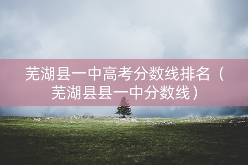 芜湖县一中高考分数线排名（芜湖县县一中分数线）