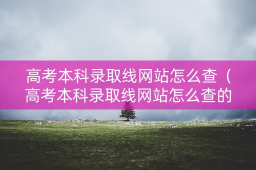 高考本科录取线网站怎么查（高考本科录取线网站怎么查的）