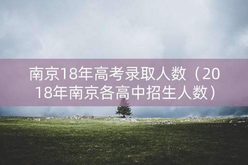 南京18年高考录取人数（2018年南京各高中招生人数）