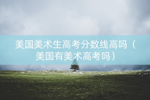 美国美术生高考分数线高吗(美国有美术高考吗) 美国美术生高考分数线高吗(美国有美术高考吗)