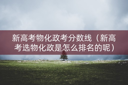 新高考物化政考分数线（新高考选物化政是怎么排名的呢）