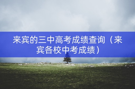 来宾的三中高考成绩查询（来宾各校中考成绩）