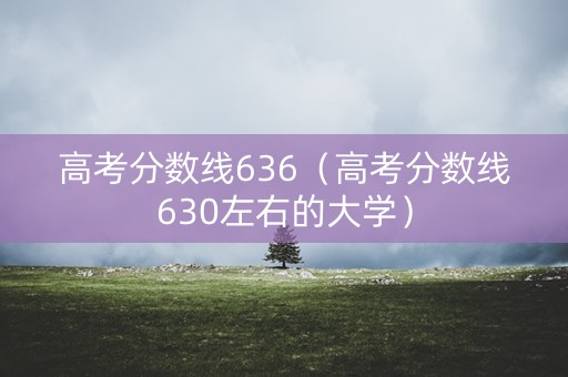 高考分数线636（高考分数线630左右的大学）