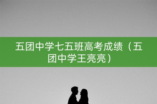 五团中学七五班高考成绩（五团中学王亮亮）