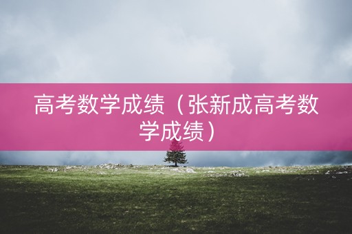 高考数学成绩（张新成高考数学成绩）