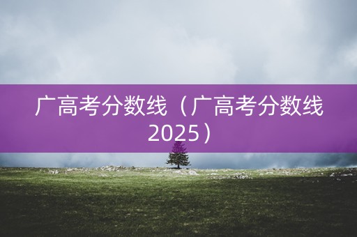 广高考分数线（广高考分数线2025）