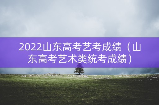 2022山东高考艺考成绩（山东高考艺术类统考成绩）