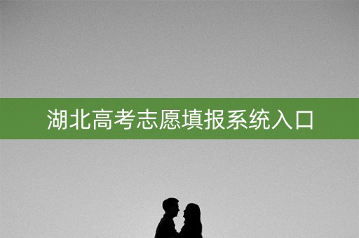 湖北高考志愿填报系统入口