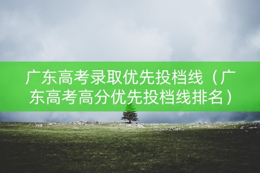 广东高考录取优先投档线（广东高考高分优先投档线排名）